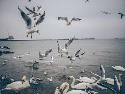 Can diet and exercise cut chemo side effects?