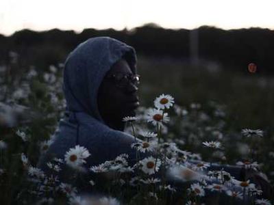 Study flips ideas about forest soils and climate change