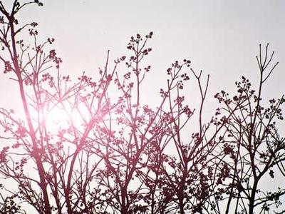 Can diet and exercise cut chemo side effects?