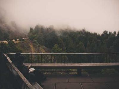 What’s the best way to ship holiday gifts?