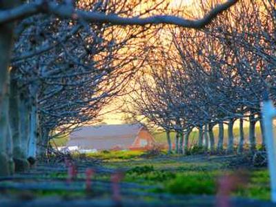 Antibody therapy shows promise against multiple myeloma