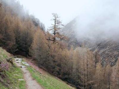 The Best Age-Tech Gadgets Tried and Tested by WIRED