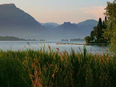 RFK Jr.’s Health Department Is Pondering a National Men’s Health Initiative