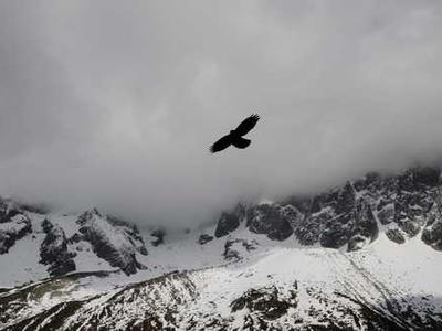 Ford Kills the All-Electric F-150 as It Rethinks Its EV Ambitions