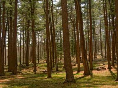 Climate change is to blame for disappearing rains in the southwest