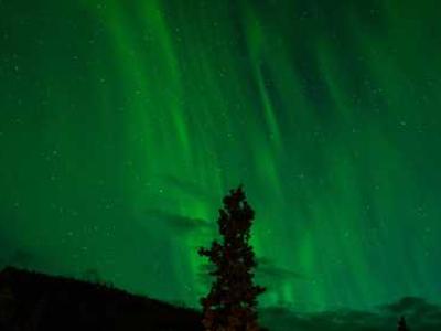 Nvidia Becomes a Major Model Maker With Nemotron 3