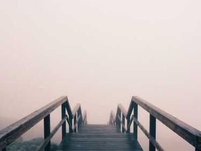 Mammary glands make livestock, humans good hosts for bird flu