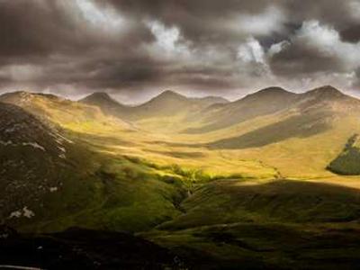 Chewy Promo Codes and Deals: Get 50% Off This Month