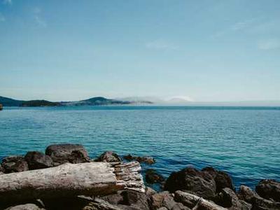 New Head of Trump’s Cancer Panel Speculated About Links Between Vaccines and Cancer