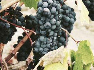 Eye Fucking Men Across New York City