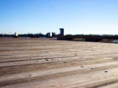 Interstellar Arc Serves Up Alien Foxes, Exoplanets, and VR Carl Sagan