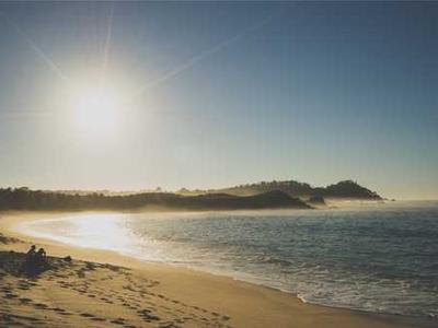 Antibody therapy shows promise against multiple myeloma