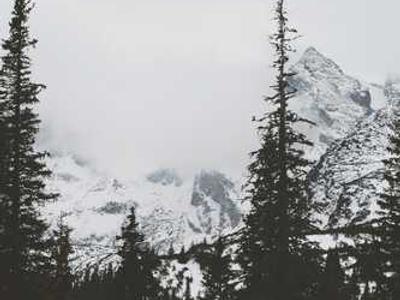 RSV can take a toll months after hospitalization