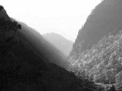 Study flips ideas about forest soils and climate change