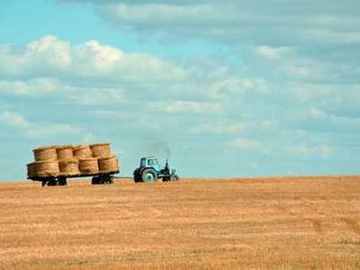 Antibody therapy shows promise against multiple myeloma