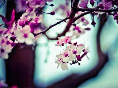 Can diet and exercise cut chemo side effects?