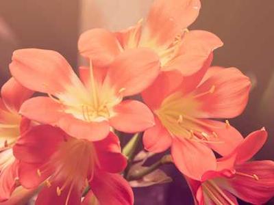 Climate change is to blame for disappearing rains in the southwest