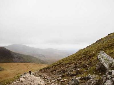 New work shatters quantum computer connection records