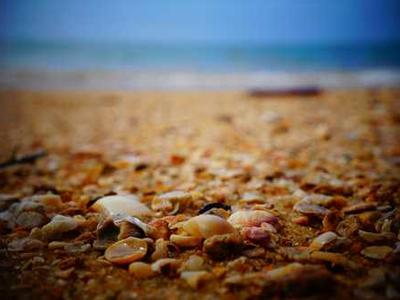 Antibody therapy shows promise against multiple myeloma