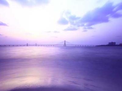 Antibody therapy shows promise against multiple myeloma