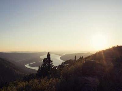 How brain activity changes during the day