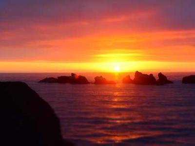 Mammary glands make livestock, humans good hosts for bird flu