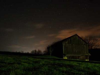 Best Merino Wool T-Shirts (2025), Tried On and Tested