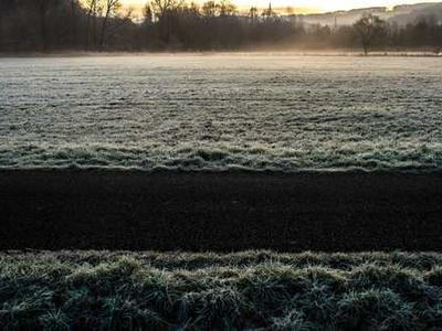 Can diet and exercise cut chemo side effects?