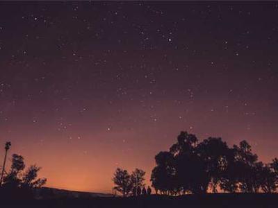 16 Best Food Gifts, as Tested by Our Tastebuds (2025)