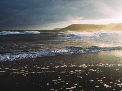 Mammary glands make livestock, humans good hosts for bird flu