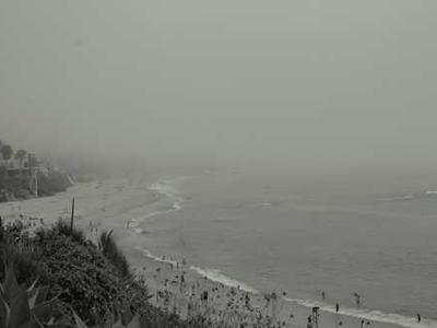 Mammary glands make livestock, humans good hosts for bird flu