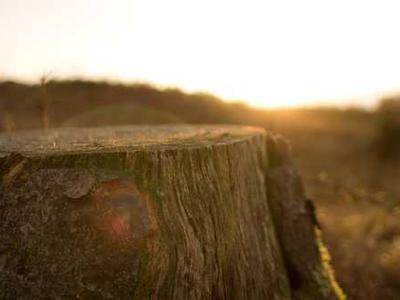 Evolved Novelties Pleasure Puff Inflatable Rabbit Review: A-Spot Stimulation