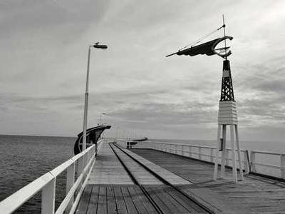 Study flips ideas about forest soils and climate change