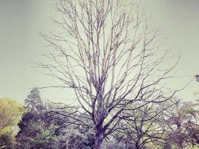 Get 22 Percent Off One of Our (and Taylor Swift’s) Favorite Pillows