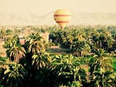 Can diet and exercise cut chemo side effects?