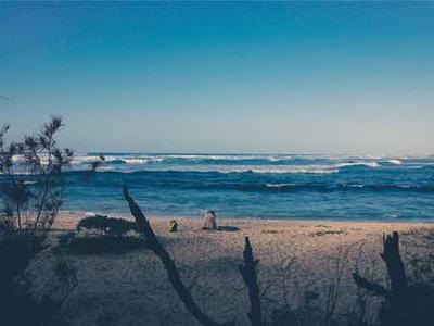 The Best Holiday Delivery Meal Kits (2025)