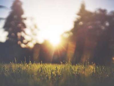 Common allergy spray slashes COVID-19 risk in surprising trial