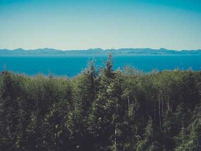 Aura Frame Sale (2025): From Aura Carver to Aura Ink