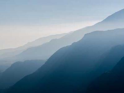 Study flips ideas about forest soils and climate change