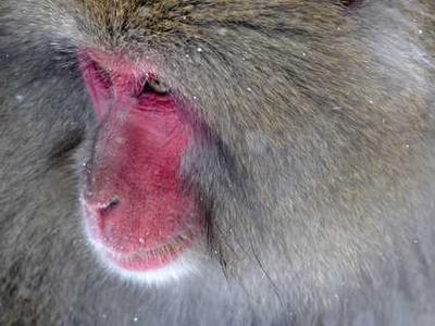 How brain activity changes during the day