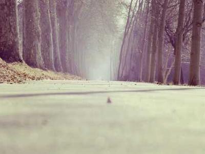 The Best Book Covers of 2025: The Final Round!