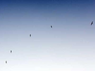 New work shatters quantum computer connection records