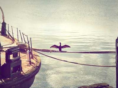 How Do Astronomers Find Planets in Other Solar Systems?