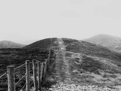 Mammary glands make livestock, humans good hosts for bird flu