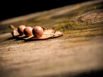 16 Best White Elephant Gifts (2025): Coffee Pot Mug, Legos, Sushi Magnets, and More