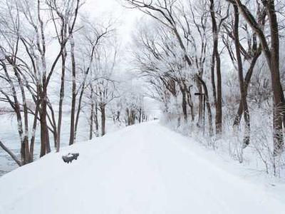 Specific brain circuit drives opioid relapse