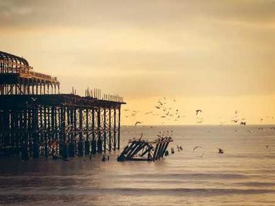 Interstellar Arc Serves Up Alien Foxes, Exoplanets, and VR Carl Sagan