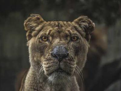 Can diet and exercise cut chemo side effects?