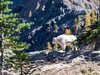New work shatters quantum computer connection records
