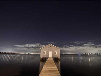 Specific brain circuit drives opioid relapse